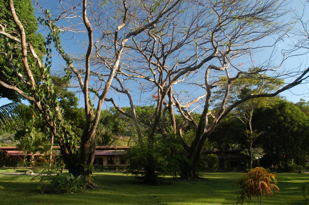 Jaco Hotel DoceLunas Exterior foto